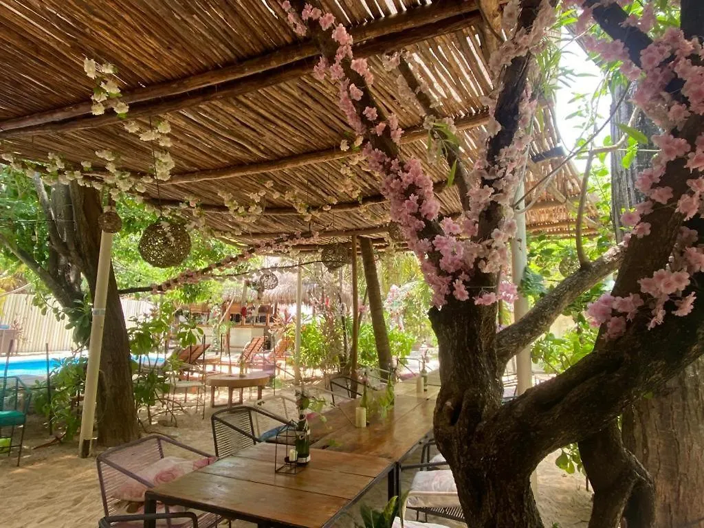 Nature Stay Playa del Carmen Mexiko